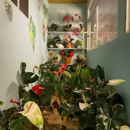 Paradise House * Calheta (Madeira)